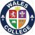 Wales College